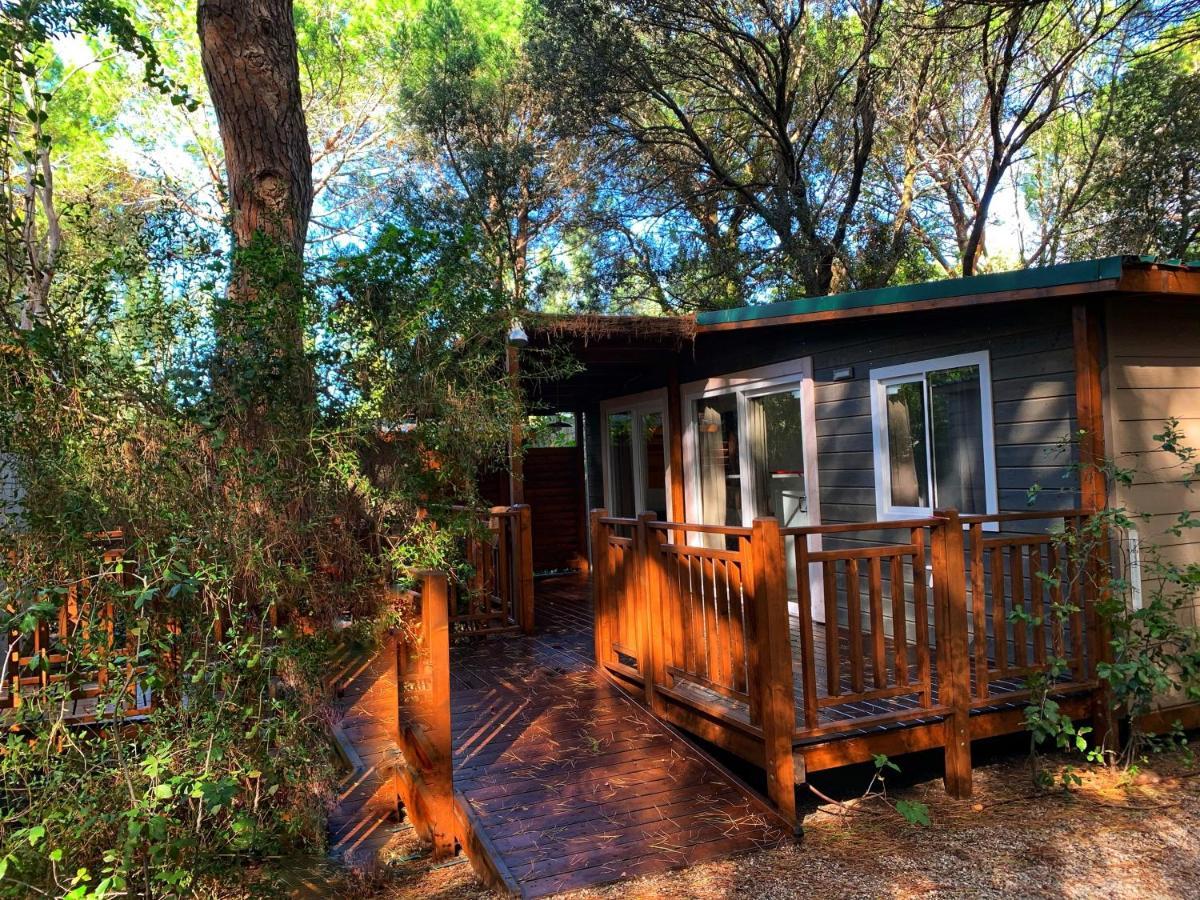 Camping Maremma Sans Souci كاستيغليون ديلا بيسكايا المظهر الخارجي الصورة