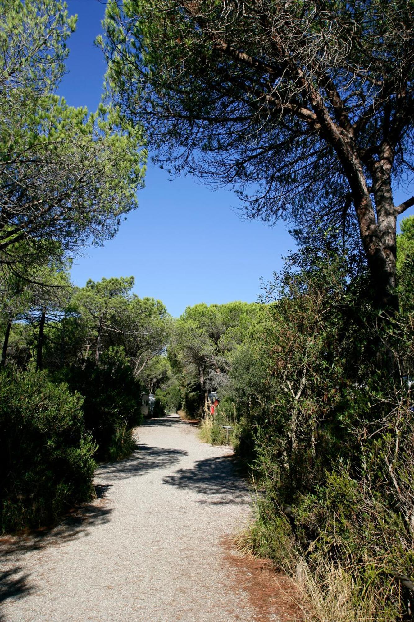 Camping Maremma Sans Souci كاستيغليون ديلا بيسكايا المظهر الخارجي الصورة