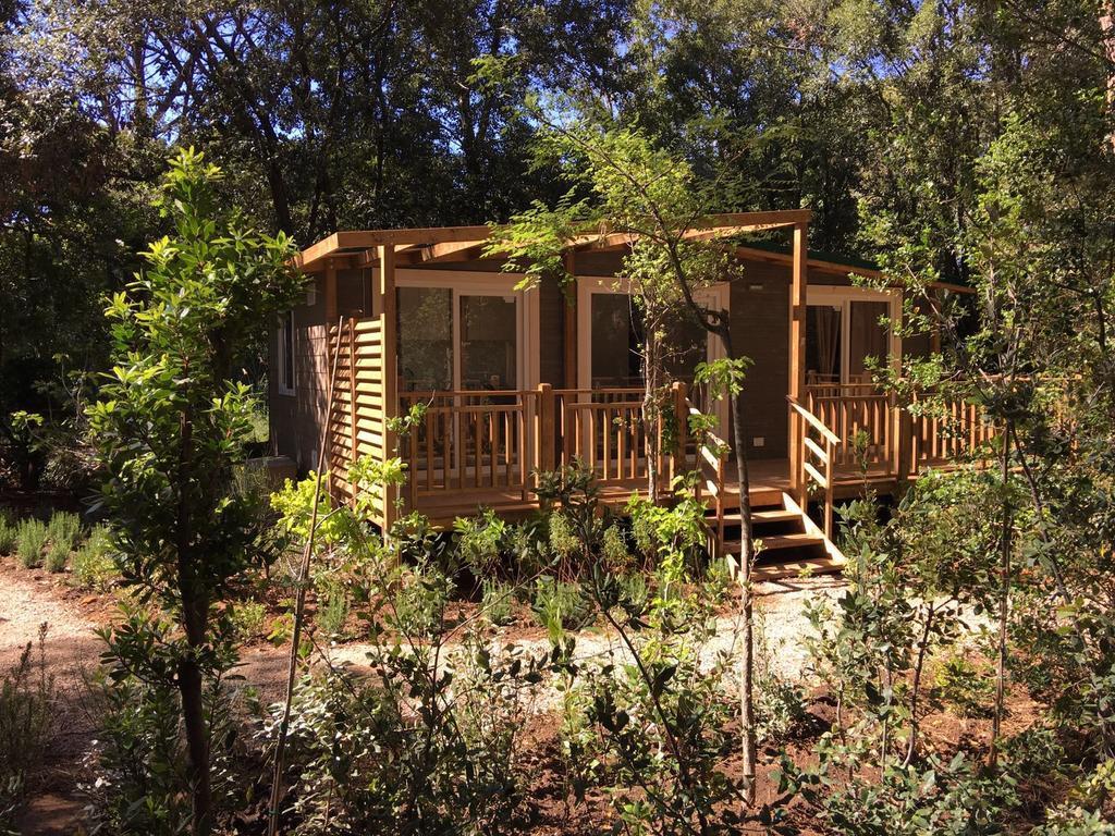 Camping Maremma Sans Souci كاستيغليون ديلا بيسكايا المظهر الخارجي الصورة