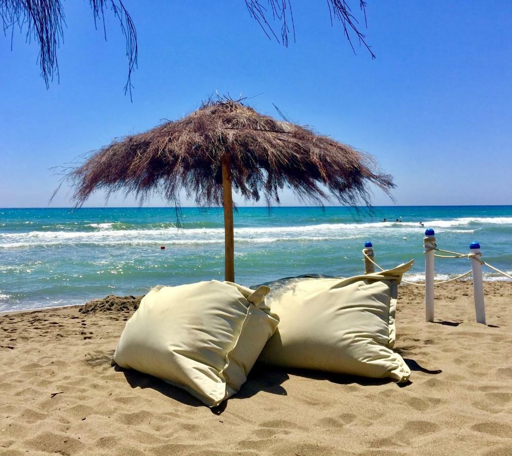Camping Maremma Sans Souci كاستيغليون ديلا بيسكايا المظهر الخارجي الصورة